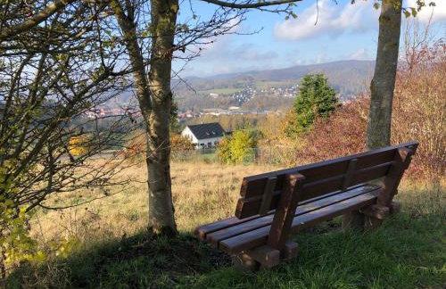 Schön Hier - im Harz - Foto 33