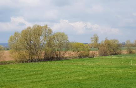 Ferienwohnung Leineufer - Foto 20