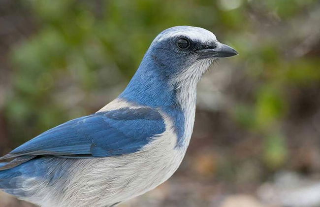 Stunning Luxury Mediterranean-style Private Oasis! - Foto 37