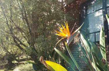 Apartamento Flor de Canela - Foto 41