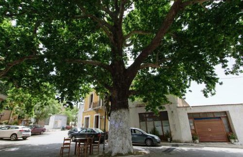 Diogenis Residence Euphoria - Foto 73