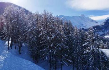 Résidence le chalet des orres - Photo 13