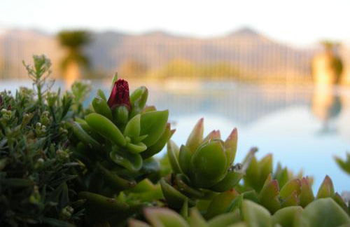 Residence Verdeluna - Foto 46