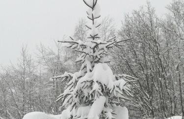 Apartment Stjepan - Foto 40