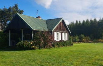 Na skraju lasu - Foto 17