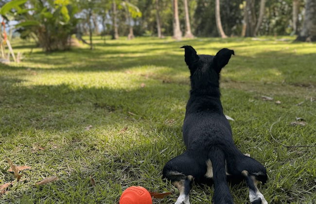 Villa Turquesa - Photo 19