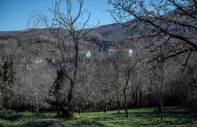 I Casali di G - Foto 50