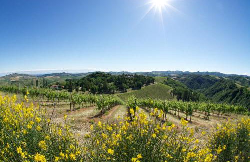 Podere Riosto Cantina&Agriturismo - Foto 33