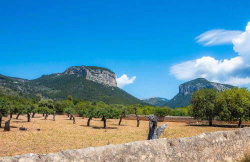 Son Fransi Alaro - Foto 38