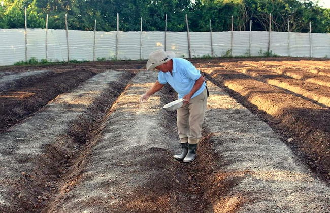 Villa in San Luis with garden and terrace - Foto 29