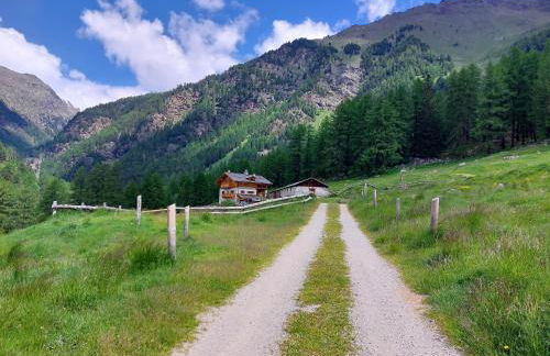 Agriturismo Malga Pontevecchio - Foto 15