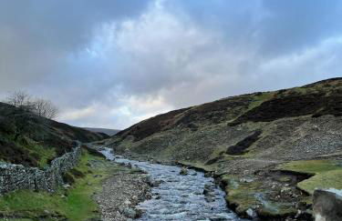 Peep-O-Day-The Stylish Dale View - Foto 39