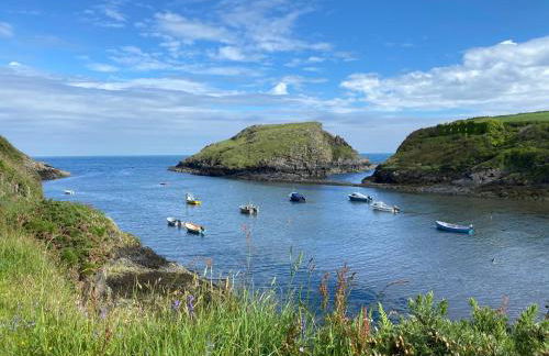 Bryn Melin - Photo 16