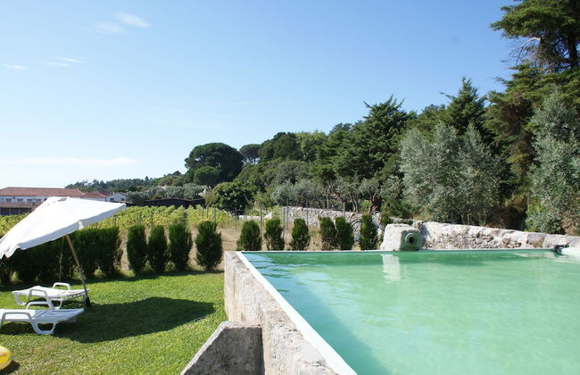 Quinta do Paço D'Anha - Foto 25