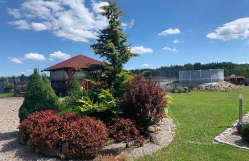 Mazurski dom Brejdyny Sauna i Bania - Foto 62