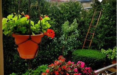 The Traditional Greek House - Foto 6