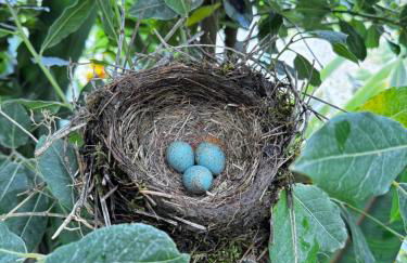 OakTree Villa - Quinta da BellaVista - Foto 12