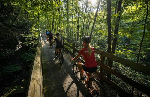 PlayDeck Cabin New River Gorge and Summersville Lake - Foto 50