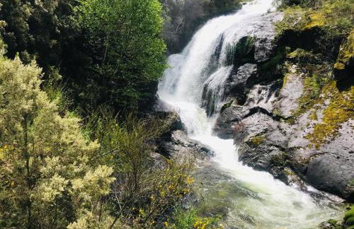 Janelas da Cabreira - Foto 24