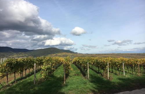 Ferienhaus Kleine Pfalz - Foto 13