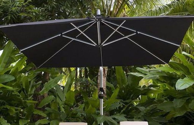 The Fiji Orchid - Foto 17