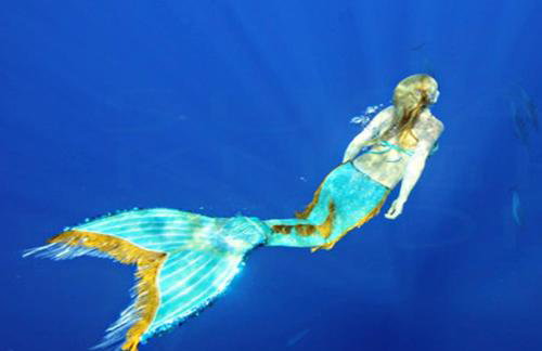 Apartman Halugica - Photo 21