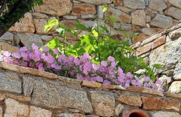 Ikaria Utopia - Cusco Studios - Photo 59