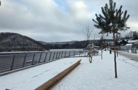 Ruhe am See - Photo 29