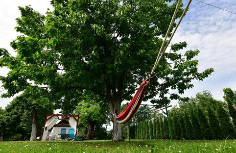 Studio Ivona - Foto 7