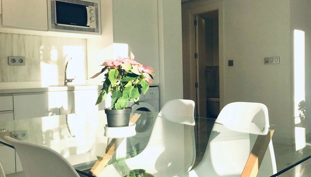 Domus Apartamentos 1 - Photo 5