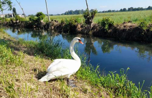 Casa MoSa - Photo 15