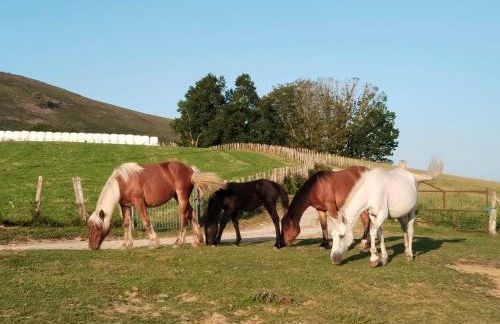 Gure Idorpea - Foto 39