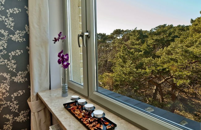 BlueApart Willa 4 Zywioly Jurata - Photo 32