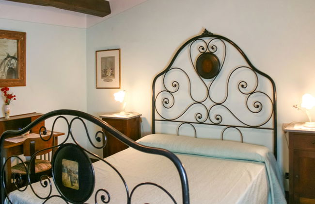 A spasso tra gli ulivi - Foto 8