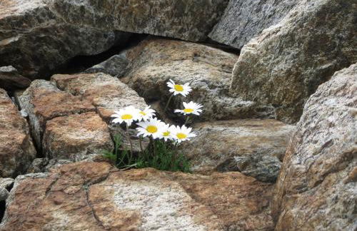 Casa Federica - Foto 57