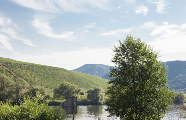 Spacious Holiday Home in Briedel Near River Mosel - Foto 29