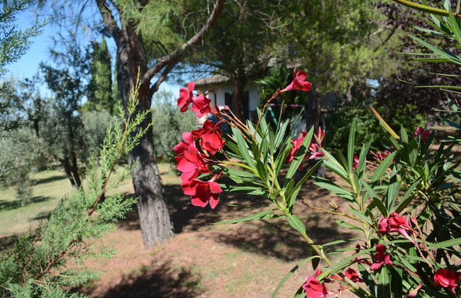 Da Piero e Paola - Foto 41