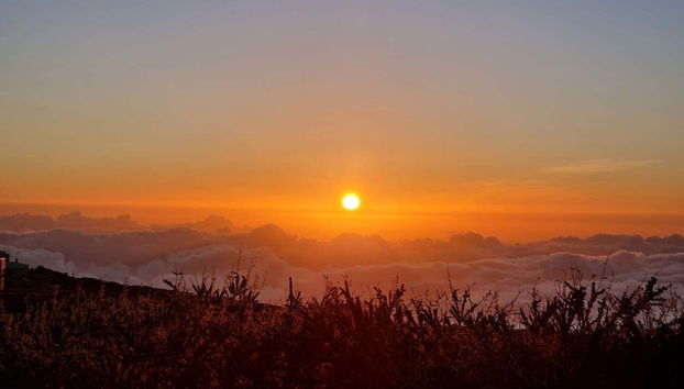 Roque de los Muchachos Stargazing - Foto 4