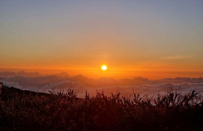 Roque de los Muchachos Stargazing - Foto 4