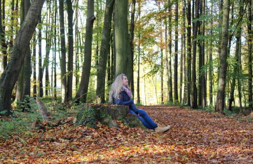 Das Strandhaus, bis zu 8 Personen, mit Garten, 250 Meter fussläufig zum See - Foto 60