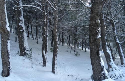 Stonehouse dome Lagadia - Photo 80