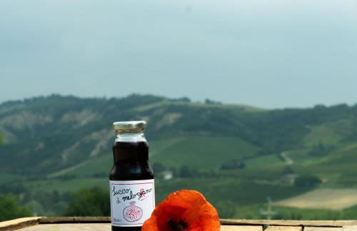 Agriturismo Camponovo - Photo 11