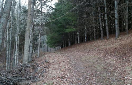 Mountain Lodge - Heated Pool 83 Degrees - Photo 34