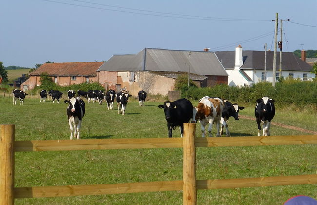 Courtbrook Farm - Foto 11