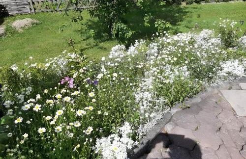 Gierske Ferienwohnung - Foto 11