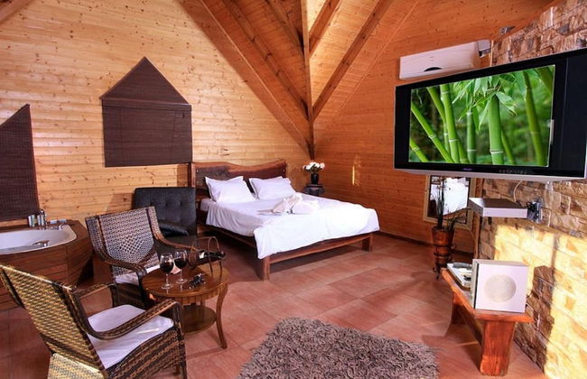 Auzat King David - Photo 9