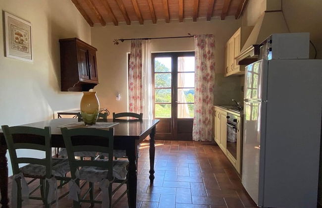 Tenuta di Seripa - Foto 74