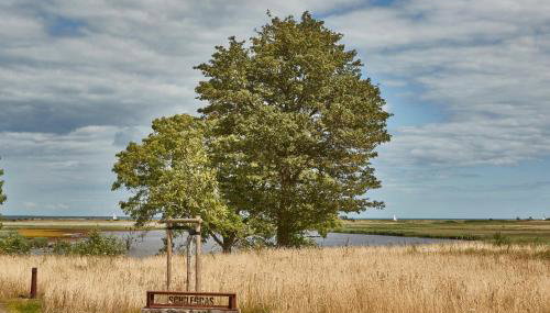 Reetdorf Geltinger Birk Atelierhaus Schilfgras - Foto 4