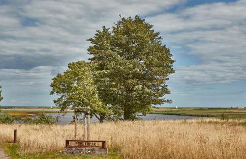 Reetdorf Geltinger Birk Atelierhaus Schilfgras - Foto 4