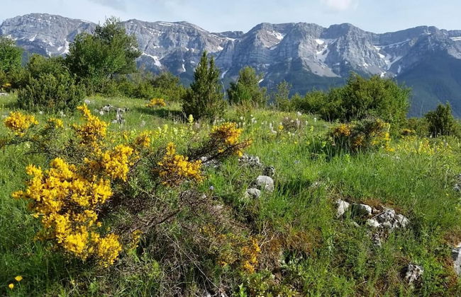 Cal Baridà - Foto 50